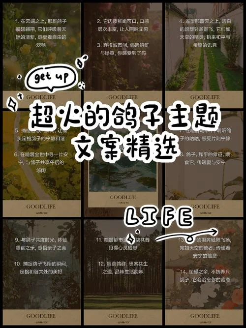 鸽了朋友之后文案-鸽友文案记录