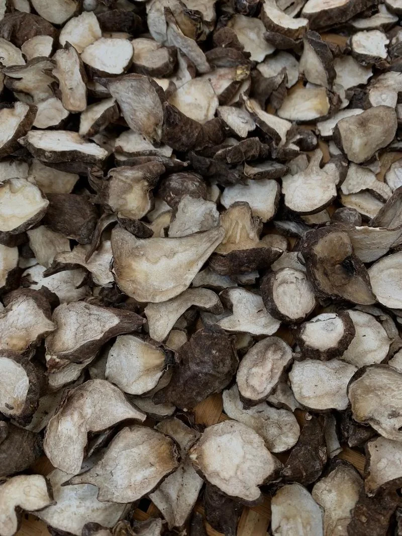 制附片又叫什么-制附片又名鹿茸