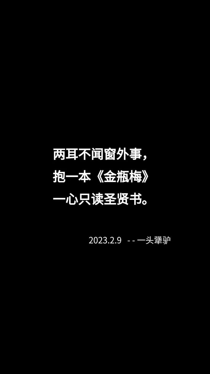 充耳不闻窗外事下一句-听不见窗外事