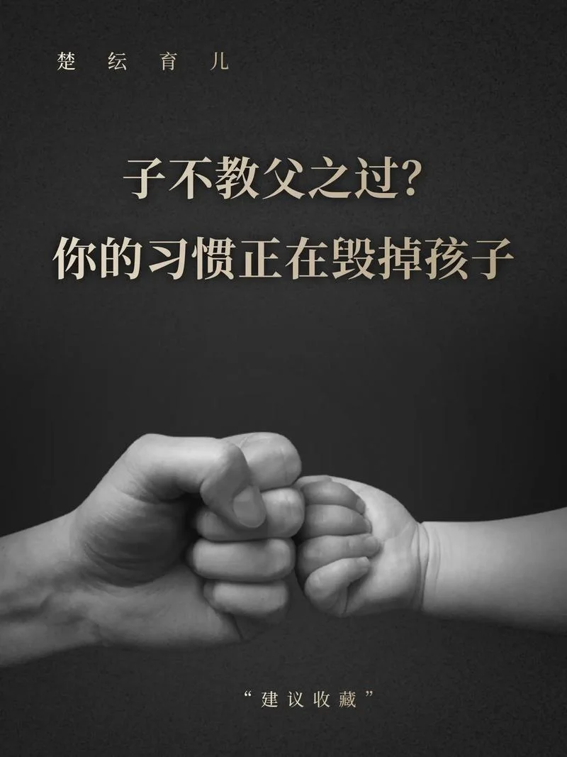 子不教父之过的下一句_2