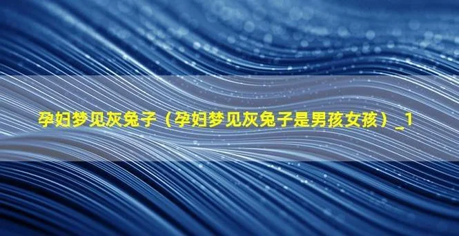 梦见白兔是男是女-梦见白兔预示男女
