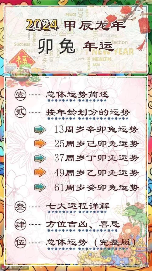 猪年属兔今年运势_1
