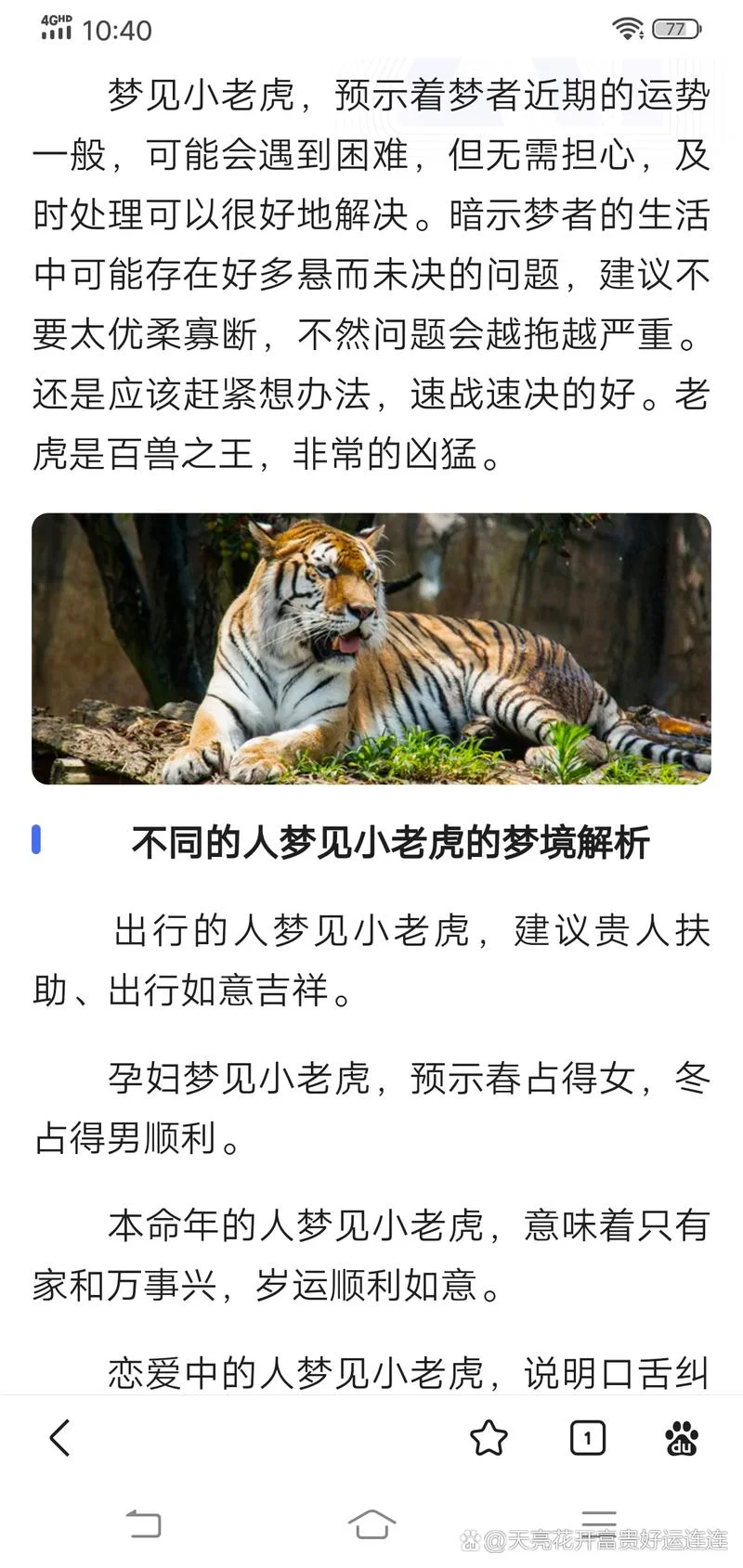 昨晚梦见老虎是什么意思_1