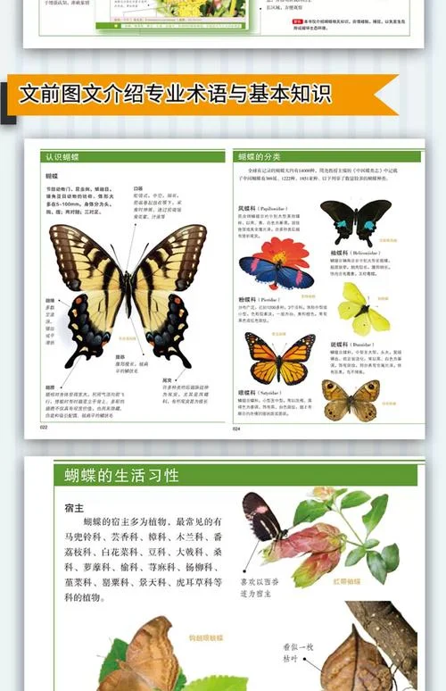 蝴蝶定理详细介绍_1