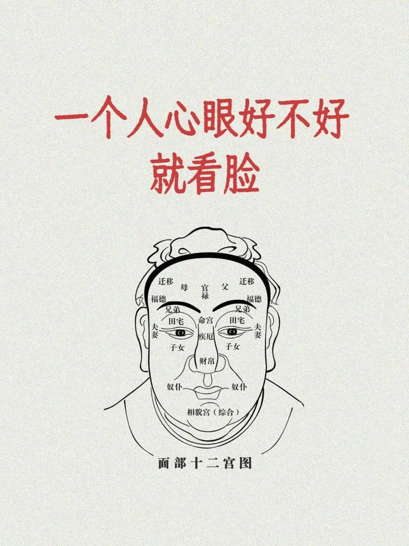 聪明人的面相_2