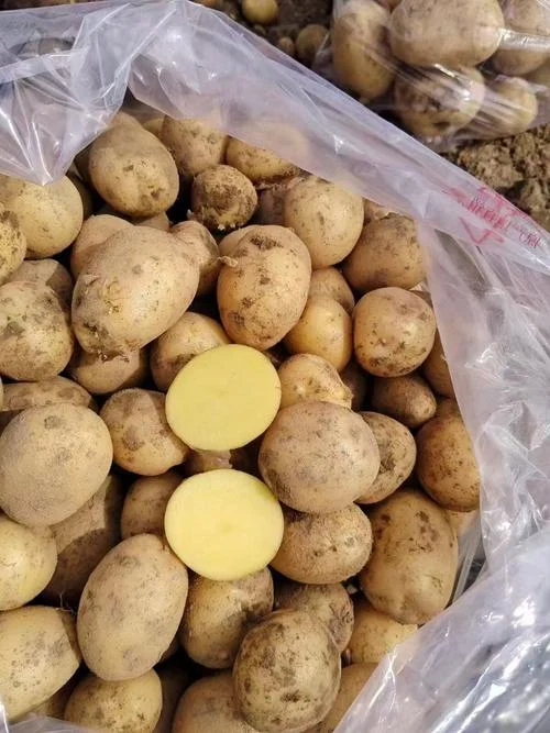 土豆一斤多少钱_2