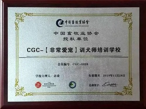 重庆资格证书查询网_2