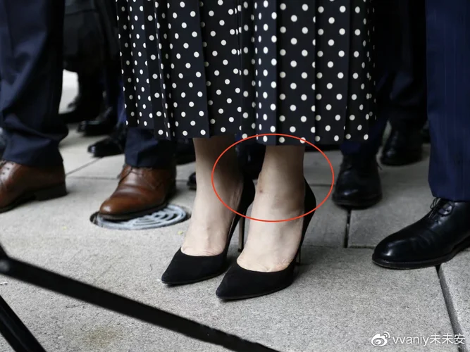 孟晚舟事件的感悟论文_1