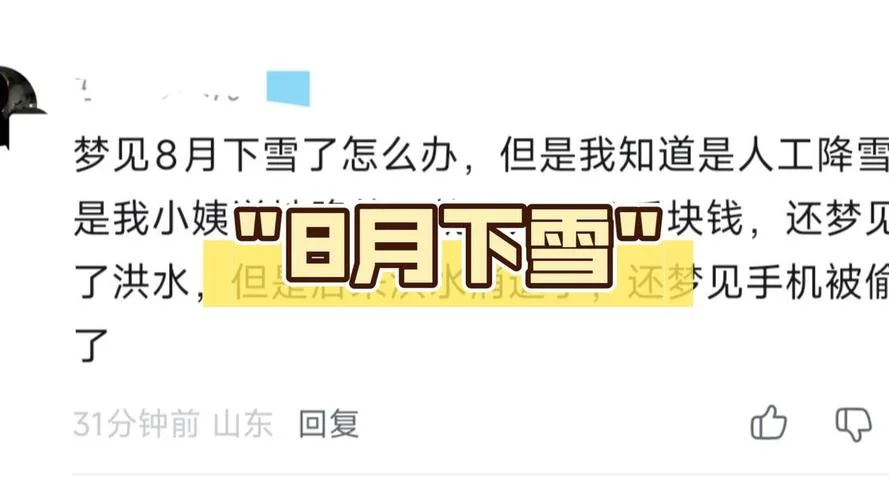 梦见下雪了好不好_1