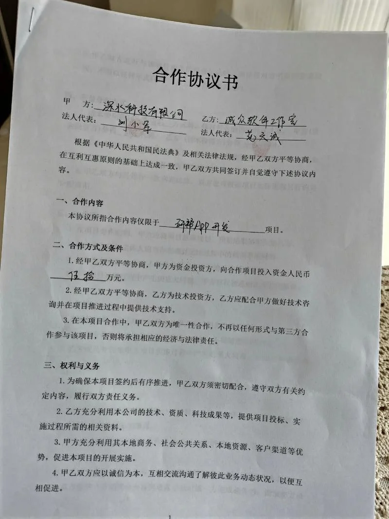 项目垫资合作协议书_1