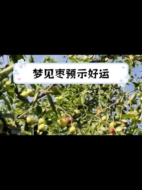 刚怀孕梦见摘桃子摘枣_2