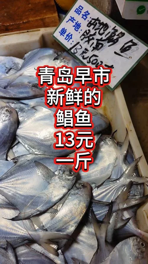 鲩鱼多少钱一斤_2