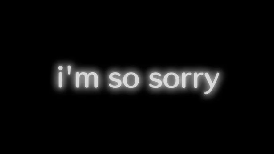 sorry是什么意思_2