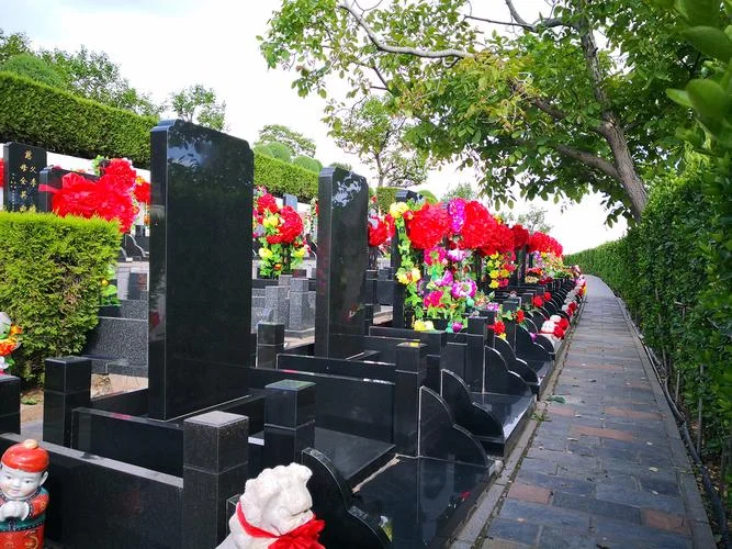 梦到墓碑铺地_2