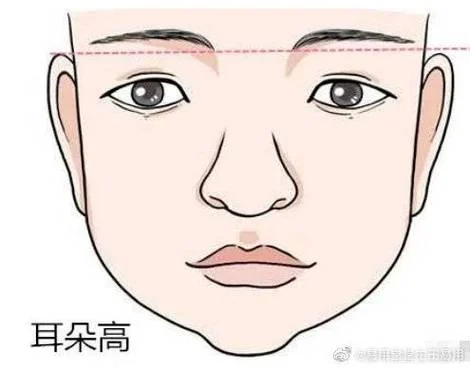 面相准头是哪里_1