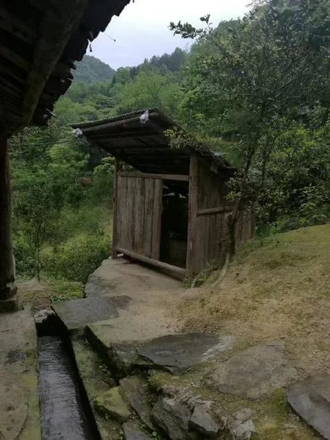 梦见茅房什么预兆_2