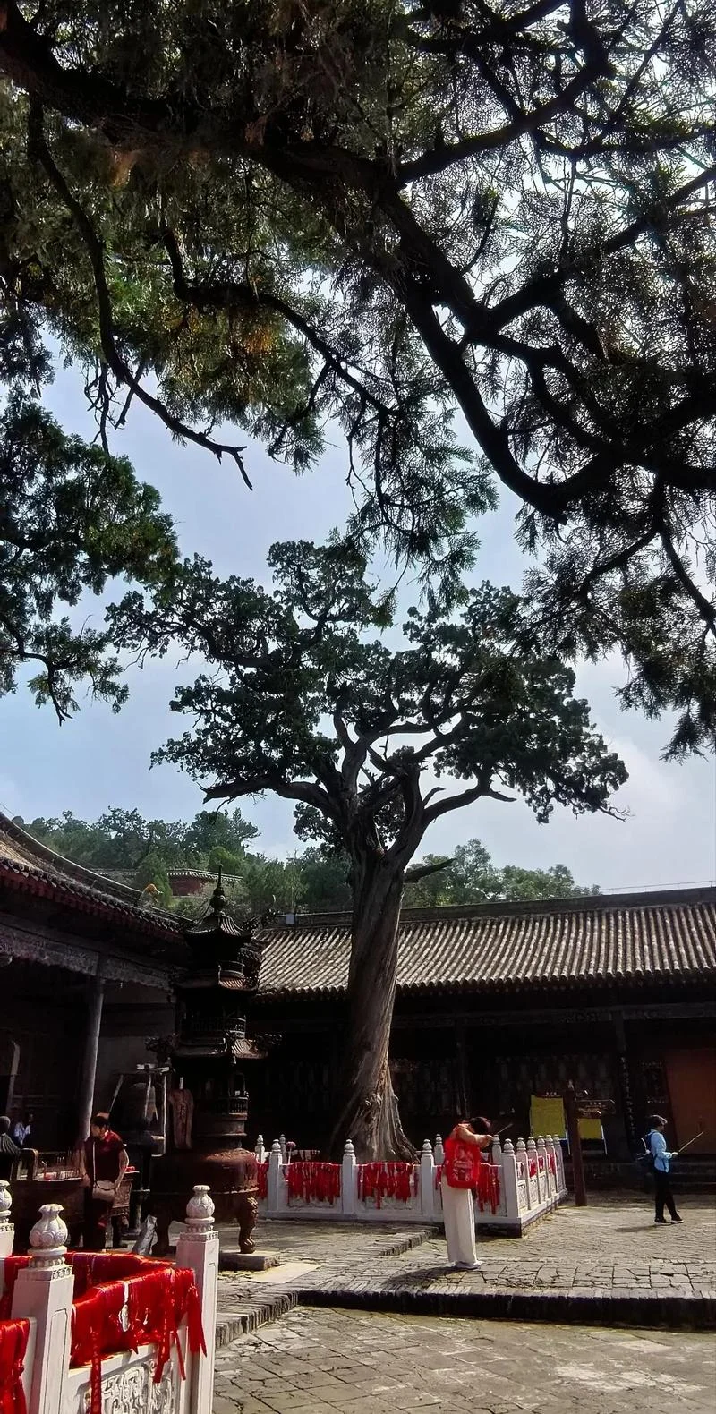 左右逢源 出处-成语出处：左右逢源