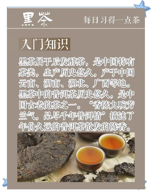 什么是黑茶功效与作用_1