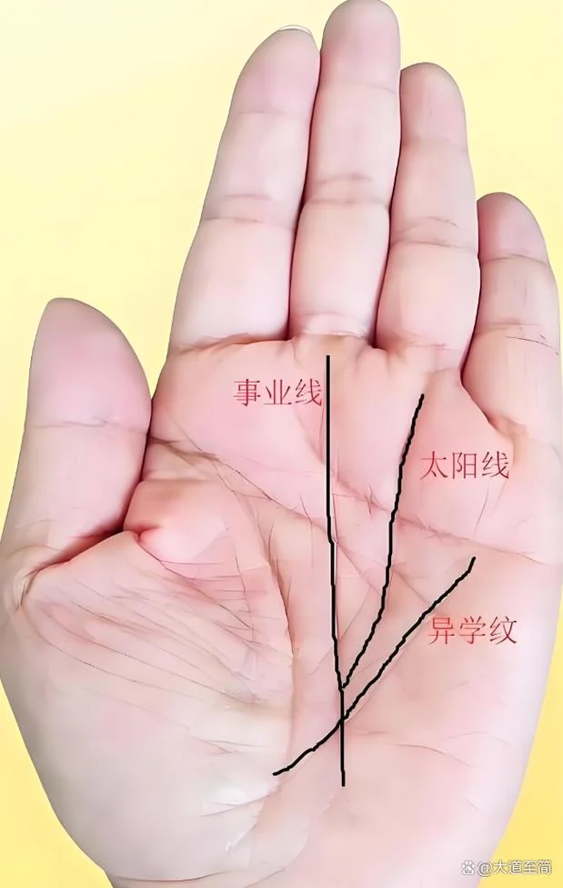 手相是否可信_2