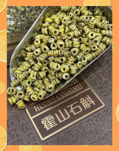 铁皮石斛品种介绍_1