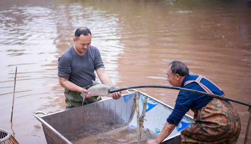 梦见鱼塘防水别人捕鱼_2