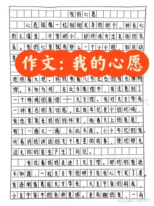 写自己心愿的作文_1