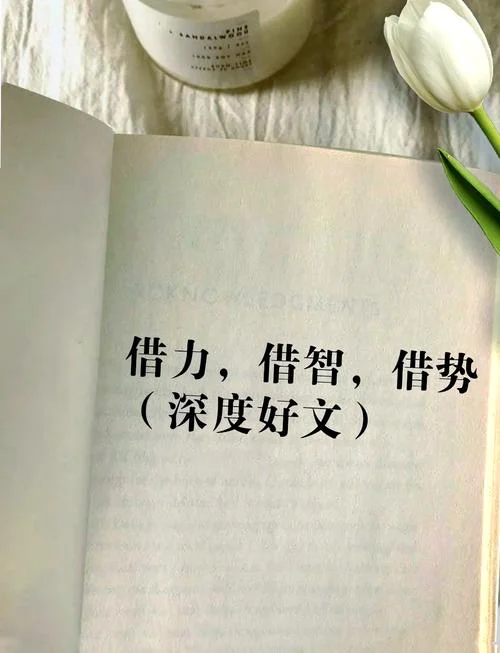 借力打力不费力下一句_2