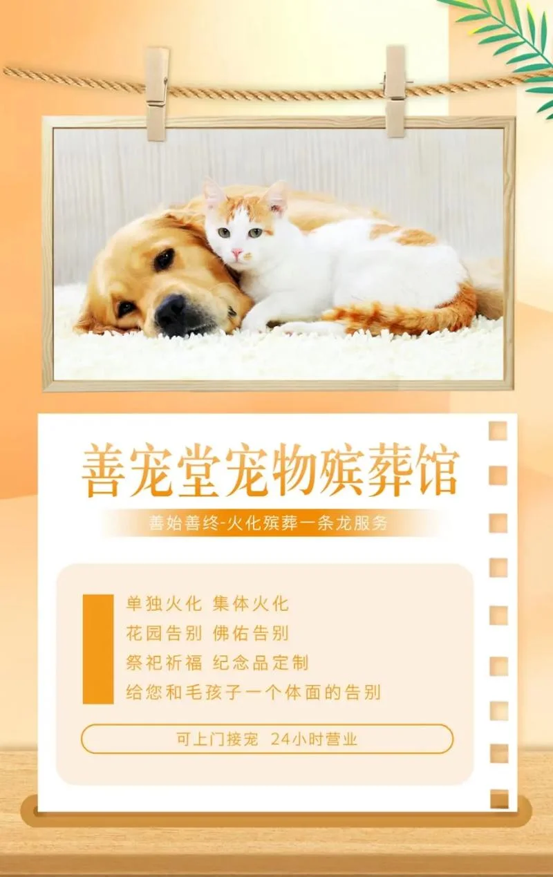宠物殡葬需要哪些资质_2