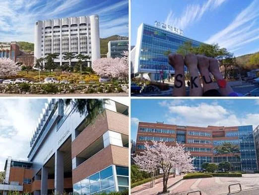 韩国圣洁大学官网_2