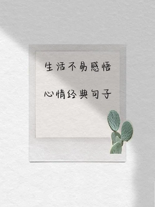 人生不易感悟句子-人生不易感悟句