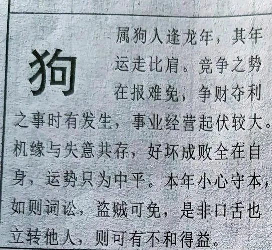 1982属狗2024每月运势_2