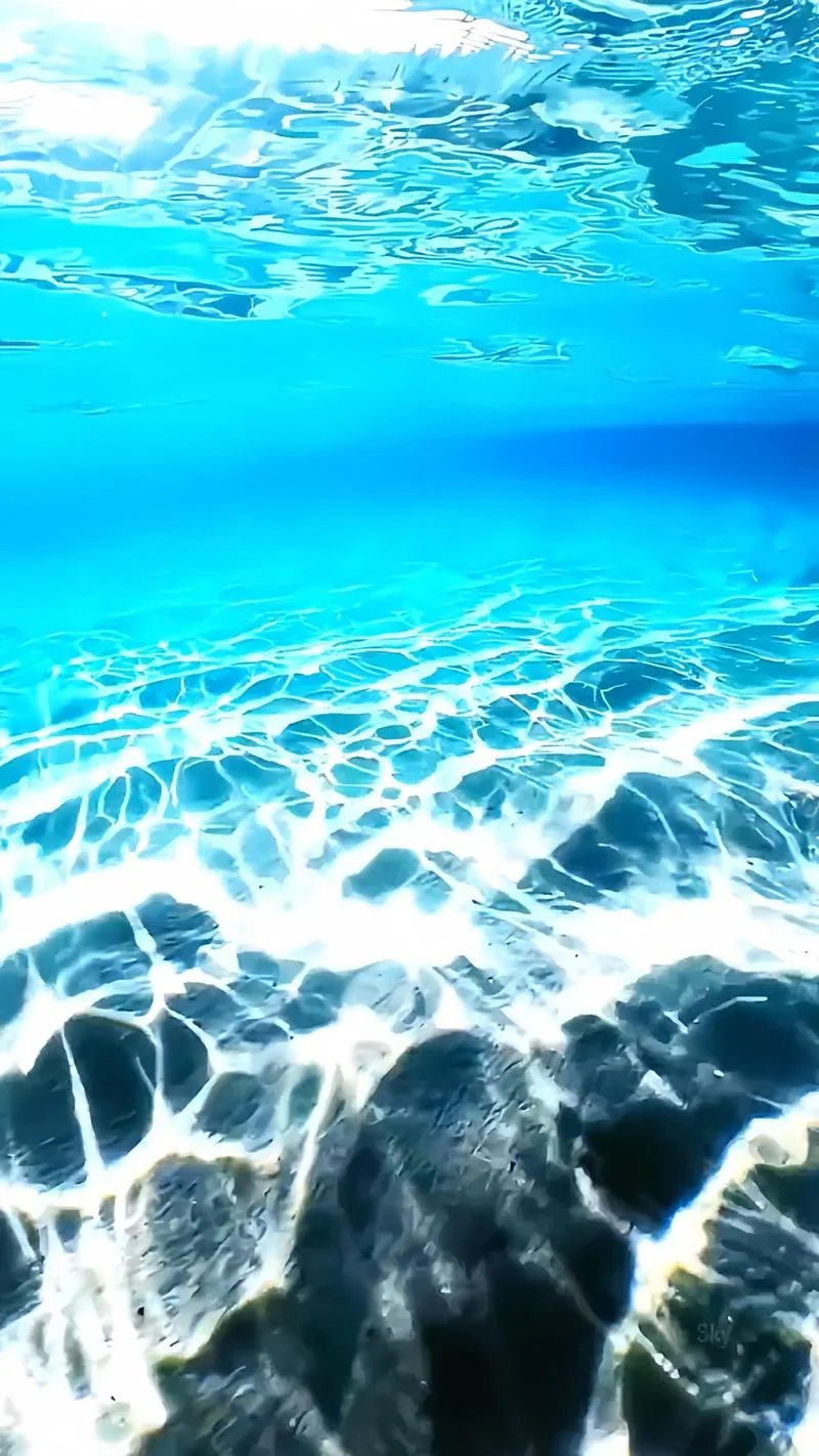 梦见大海水很清_1