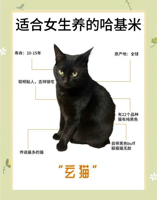 猫友是什么意思-猫友含义三言