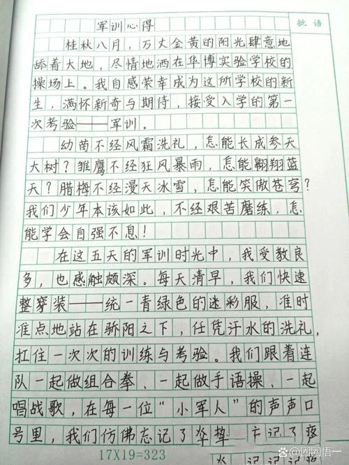 高军训心得体会800字_2