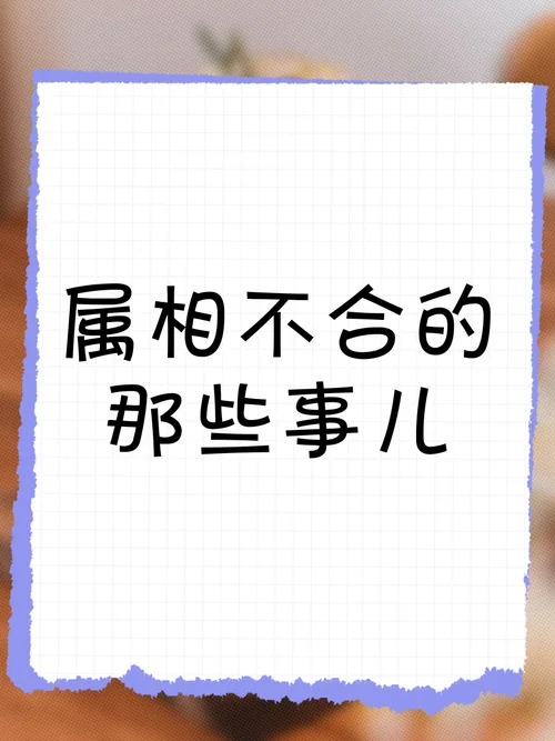 属相不合真的很重要吗_1