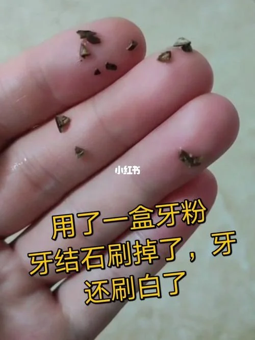 梦见刷牙刷掉一颗牙_2