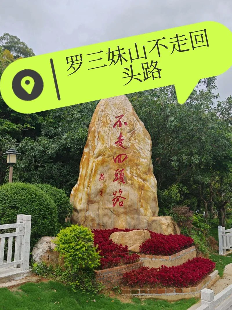 不走回头路的下一句_2