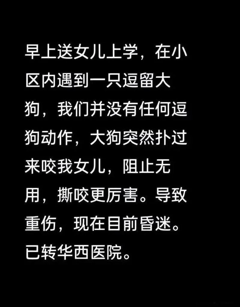 梦见一只狗咬另一只狗_1