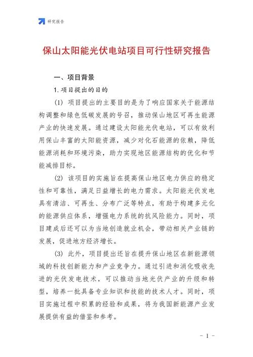 可性项目报告书_2