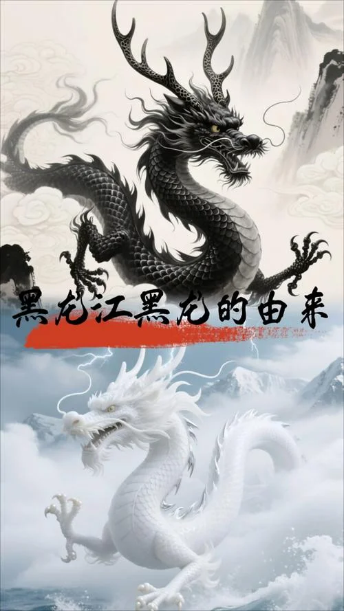 梦到黑龙是什么征兆_2