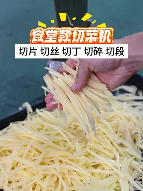 家用切菜机多少钱一台-家用切菜机价格参考