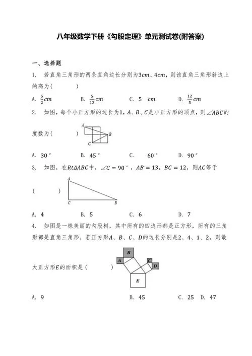 勾股定理题型_2