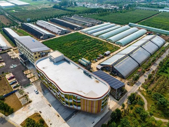 农业有限公司是做什么_2