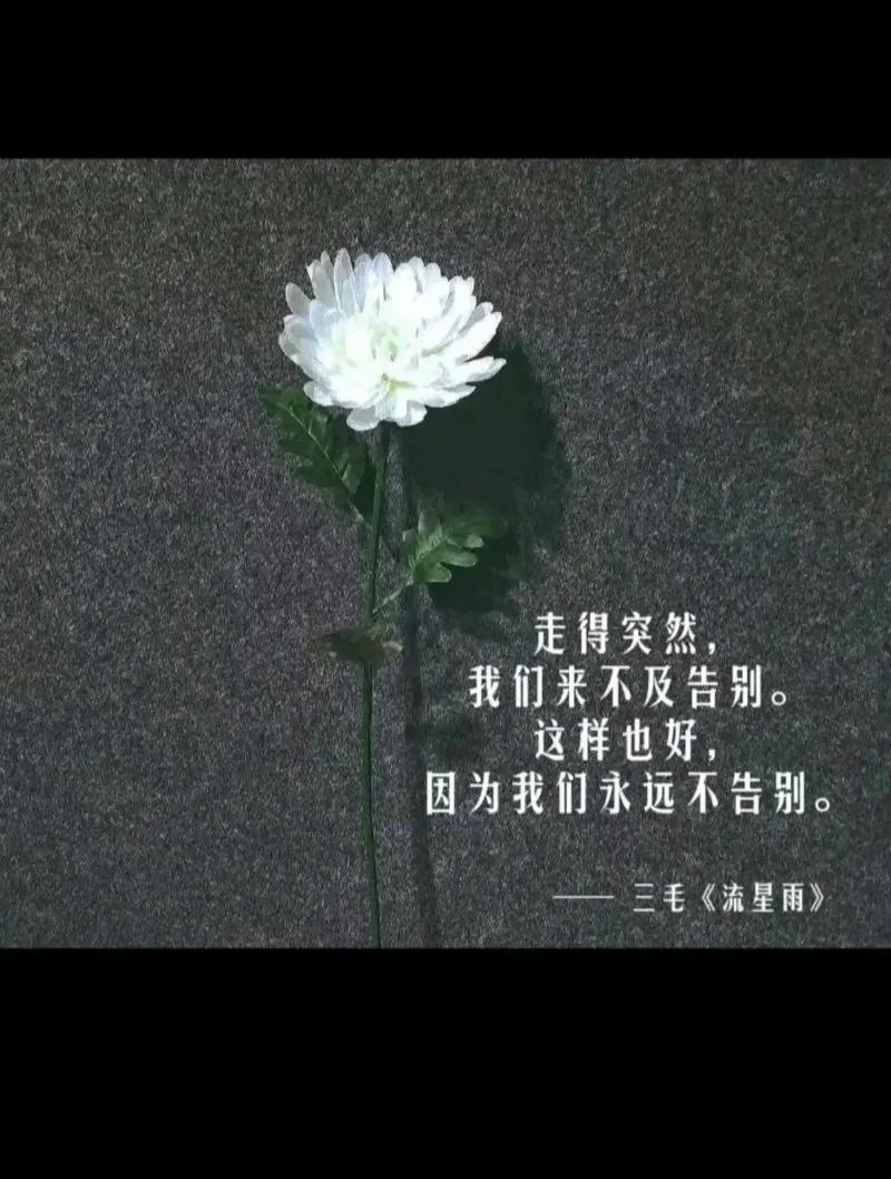 生死离别的心情感悟-生离死别心绪万千
