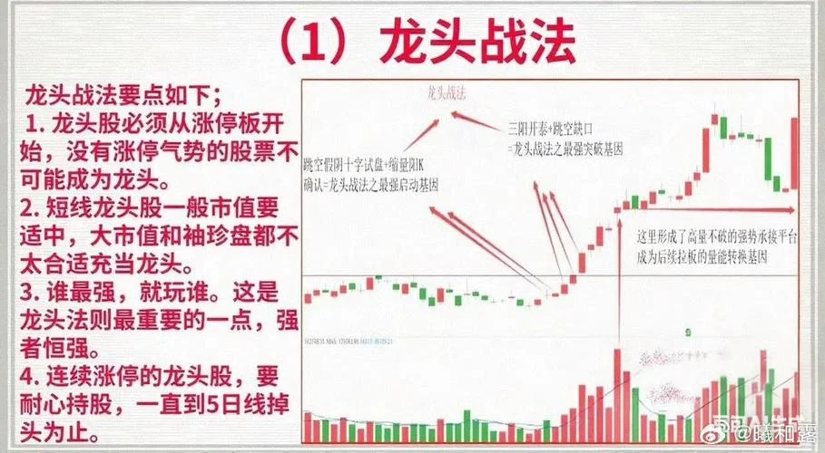 龙回首选股公式_2