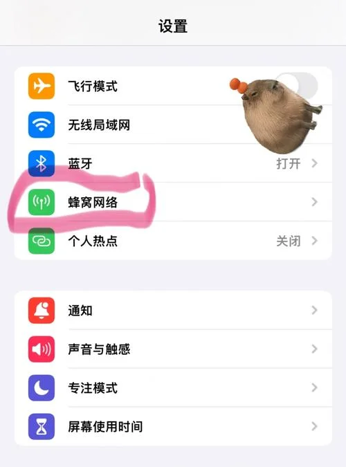 如何查流量使用明细_2