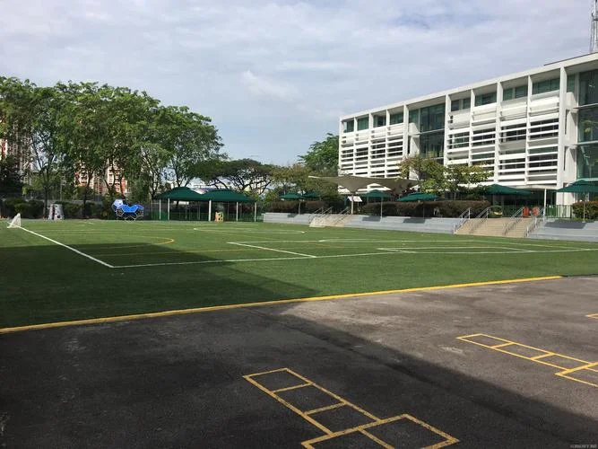 沈阳立思辰留学360_1