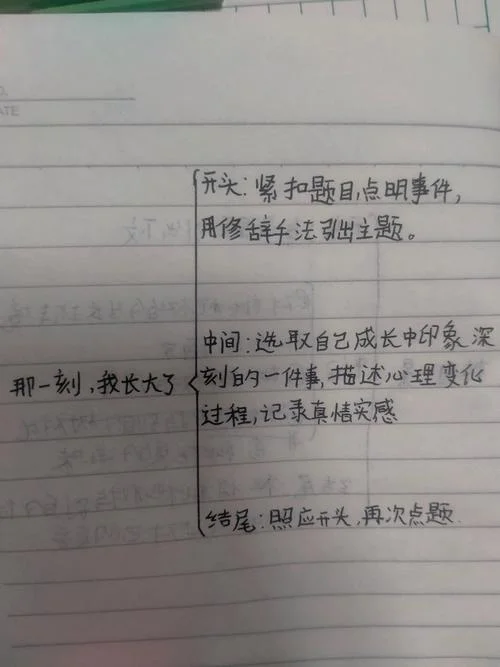 提纲挈领的拼音怎么写_2