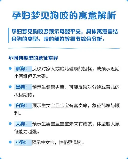 梦到小狗追着咬啥意思_1