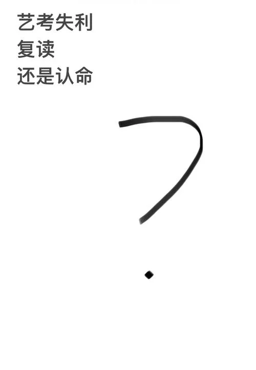 艺考失利复读-艺考失利复读生